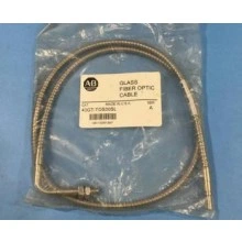 43GT-TOS30SL SERIES A GLASS FIBER OPTIC CABLE, 36L Allen Bradley