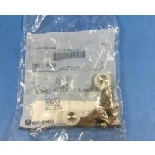802T-W4A FORKED ROLLER LEVER NYLON Allen Bradley