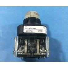 800H-QRBH24G ILLUMINATED LED PUSH BUTTON SWITCH Allen Bradley